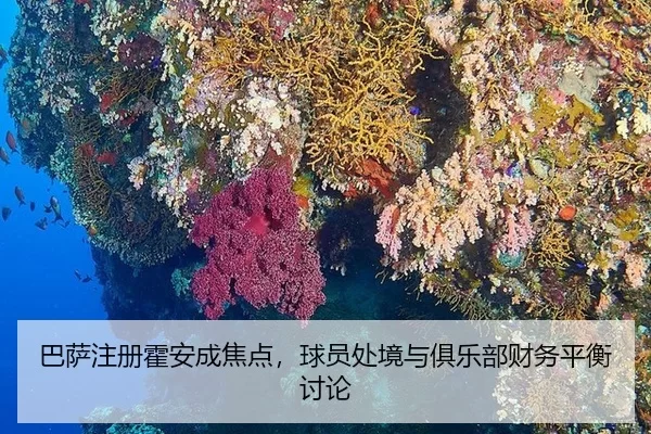 ba-sa-zhu-ce-huo-an-cheng-jiao-dian-qiu-yuan-chu-jing-yu-ju-le-bu-cai-wu-ping-heng-tao-lun-2-821.jpg